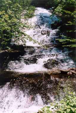 Burr Falls