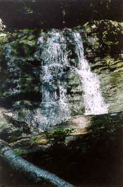 Carpenter's Falls