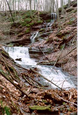 Picture of Gorge Cascade Falls - Hamden, CT