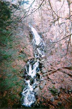 Roaring Brook Falls